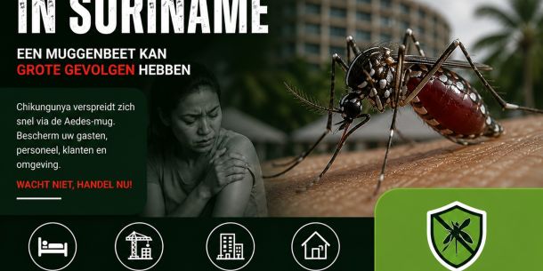 Chikungunya promo